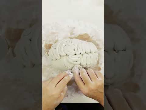 youtube - [Video]